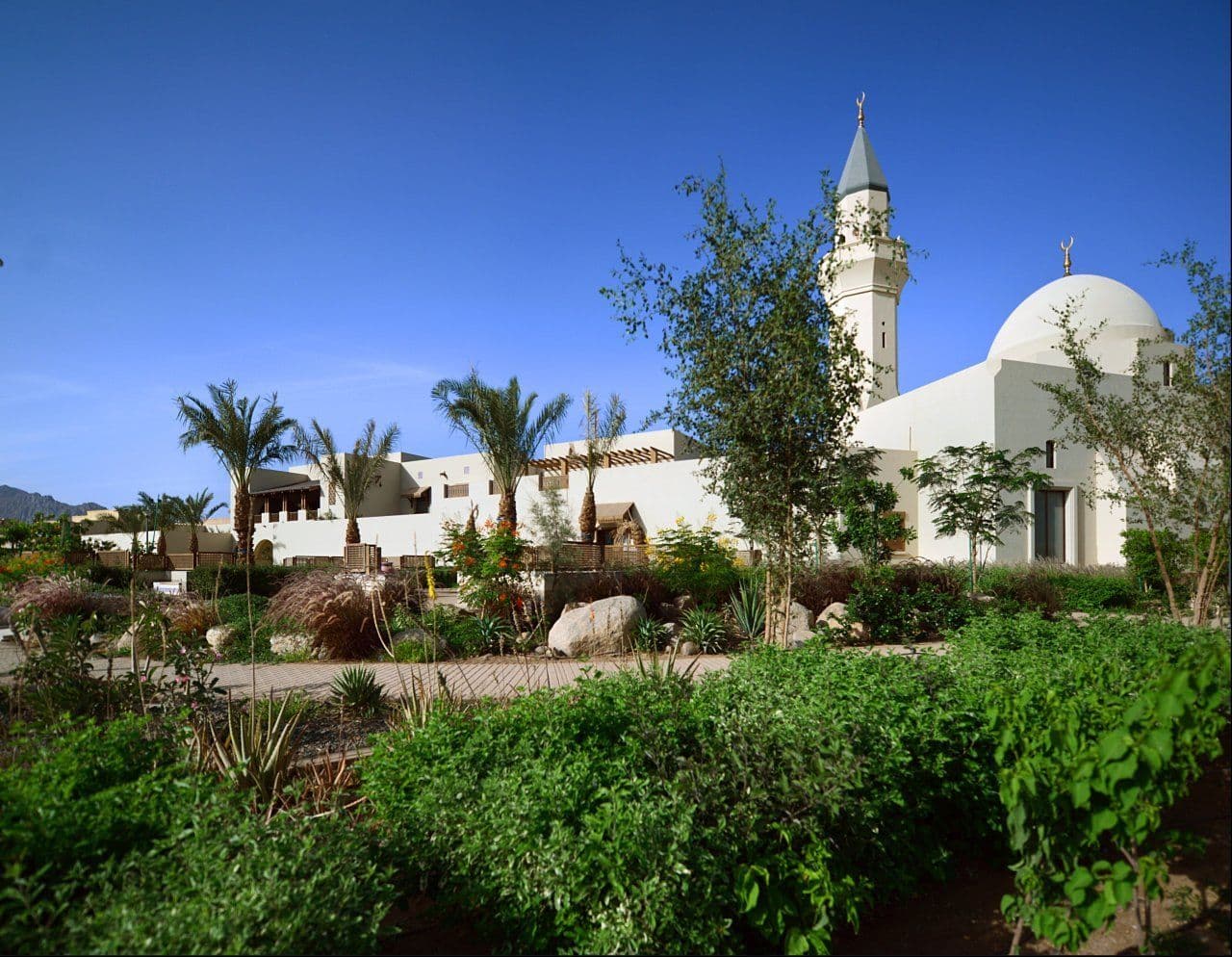Dar Al Jewar gated villas and townhouses in Knowledge Economic City, Madinah